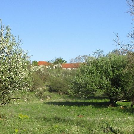 הוילה Poúlithra Arcadian Stone House In A Quiet Landscape, Leonidion מראה חיצוני תמונה