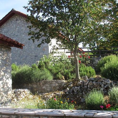 הוילה Poúlithra Arcadian Stone House In A Quiet Landscape, Leonidion מראה חיצוני תמונה
