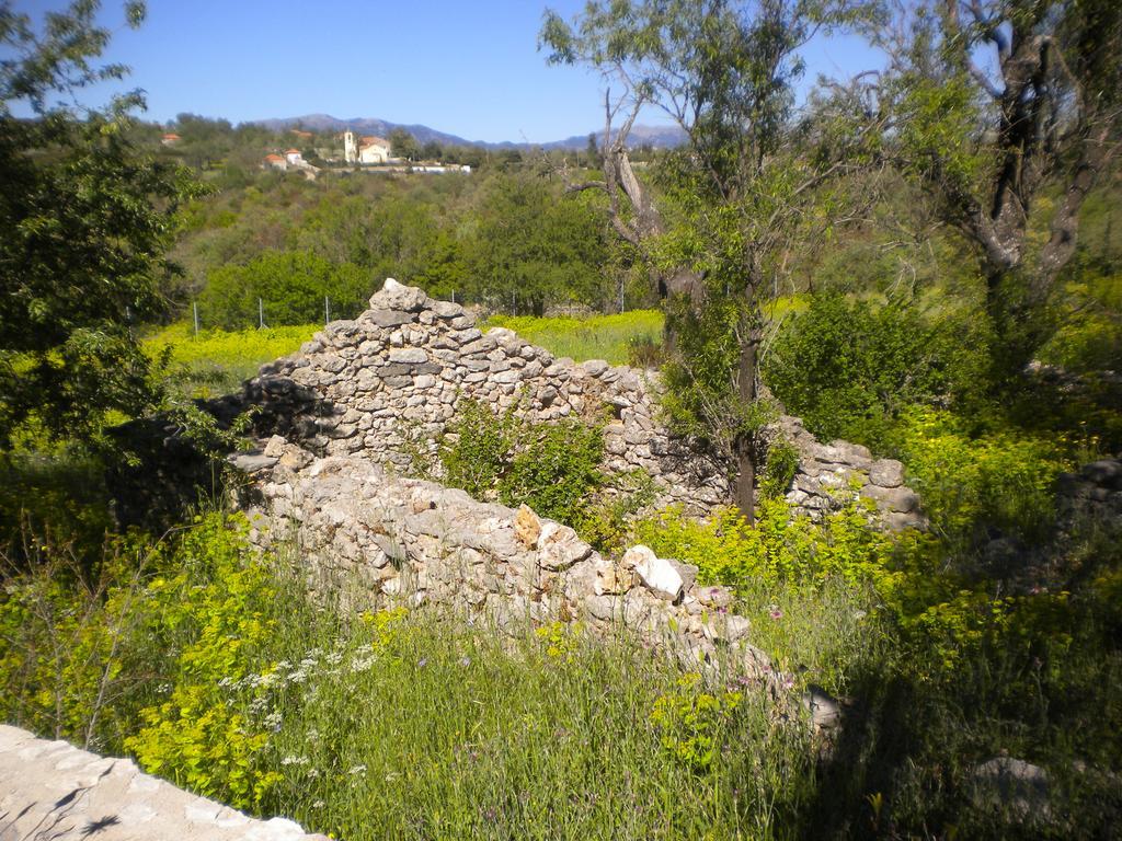הוילה Poúlithra Arcadian Stone House In A Quiet Landscape, Leonidion מראה חיצוני תמונה